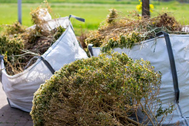 Best Electronics Removal Services  in Romancoke, MD